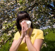 hay fever allergies.jpg